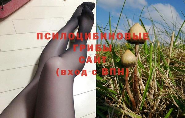 мдпв Зеленодольск