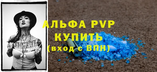 молекула духа Ельня