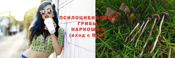 мдпв Зеленодольск