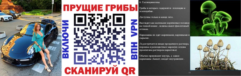 купить наркотики цена  Шебекино  Псилоцибиновые грибы Psilocybe 